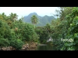 Rarotonga 3 998